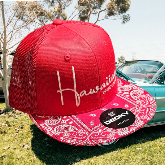 Hats Red Bandana